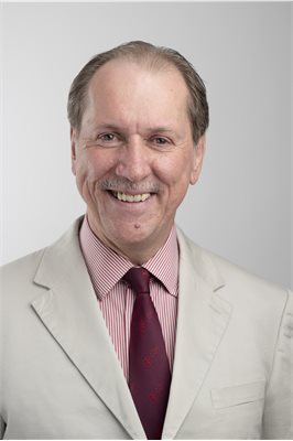 Professor Hywel Williams