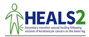 HEALS2 logo